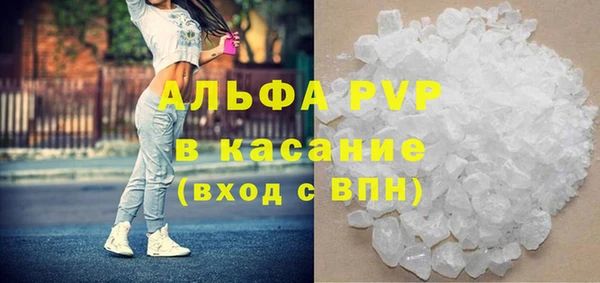 стаф Арсеньев