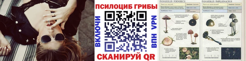 наркотики  Лихославль  Псилоцибиновые грибы ЛСД 